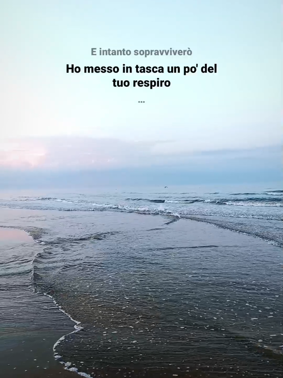 @Salvatore Di Mauro