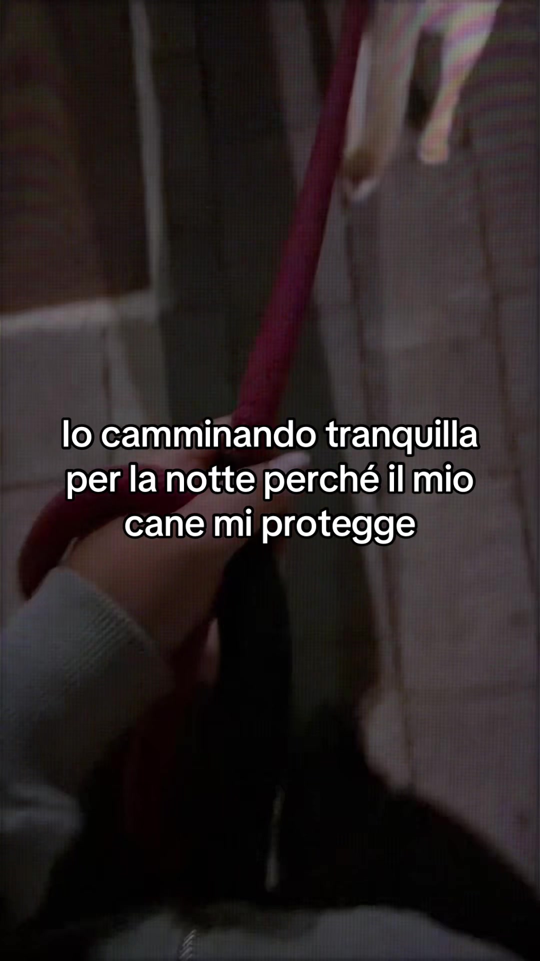 @chiarac_17🌸