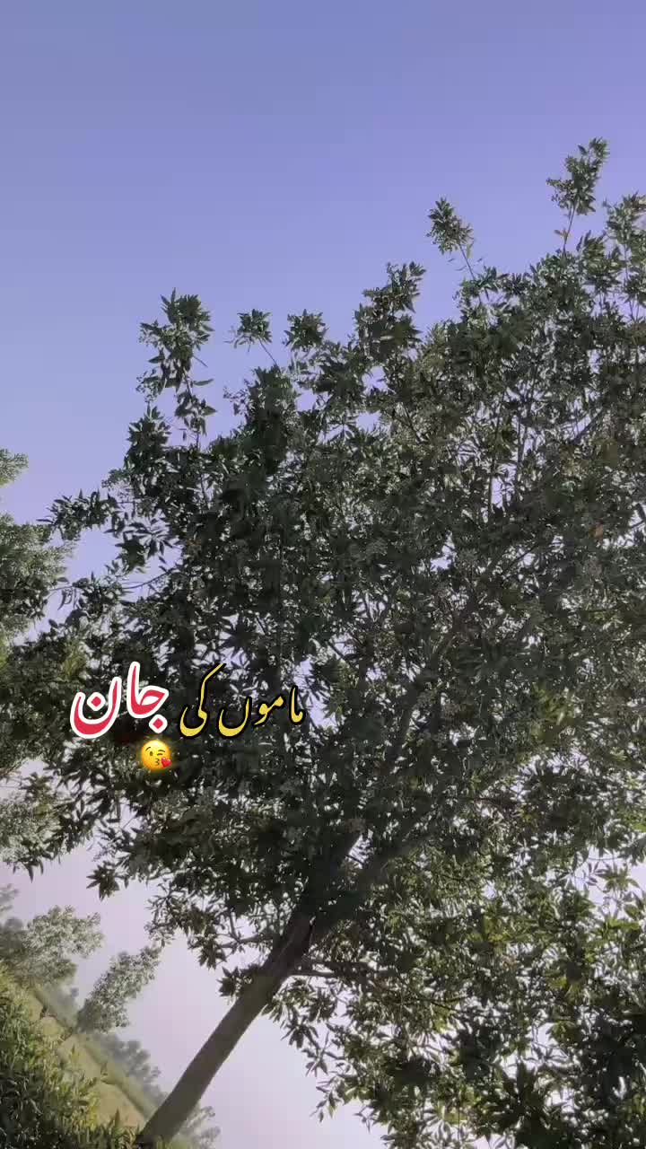 @@Ladla.Awais.Official@