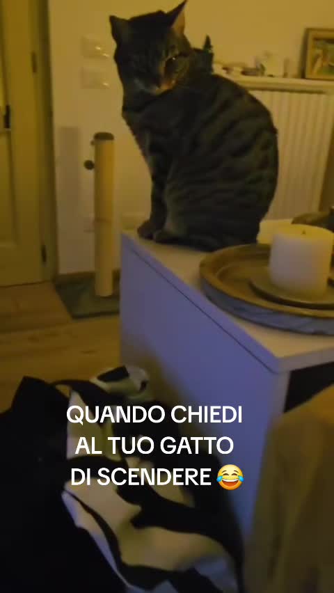 @Francesca Danieli