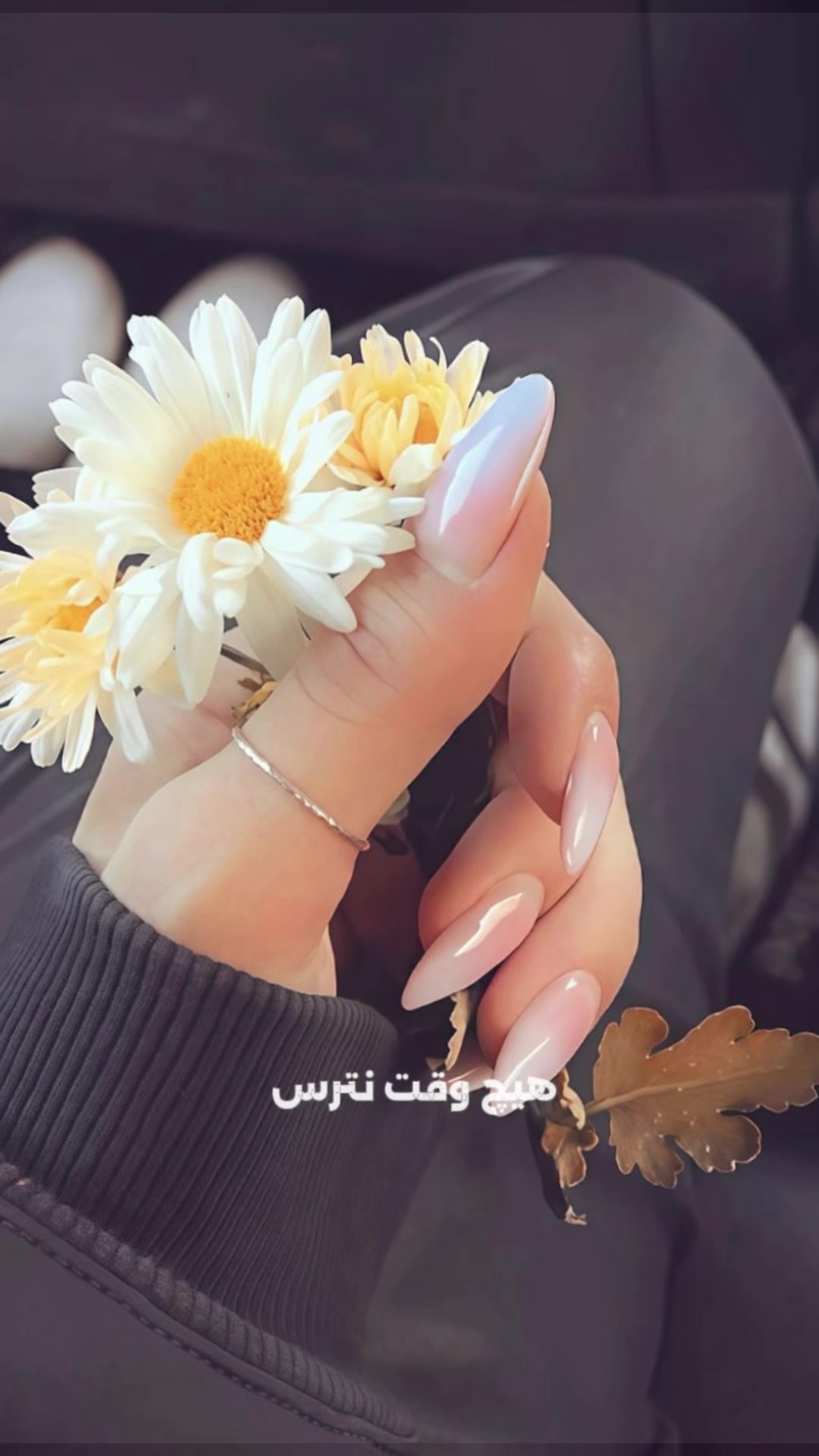 @•~𓆩♡𓆪«کـــابلــی»𓆩♡𓆪~•