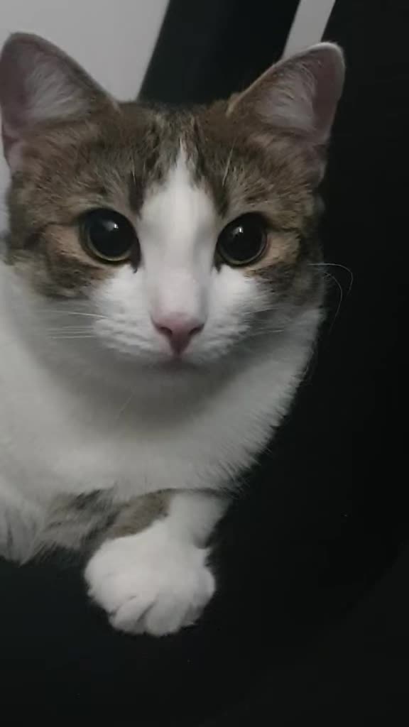 @Minnoş❤💙61