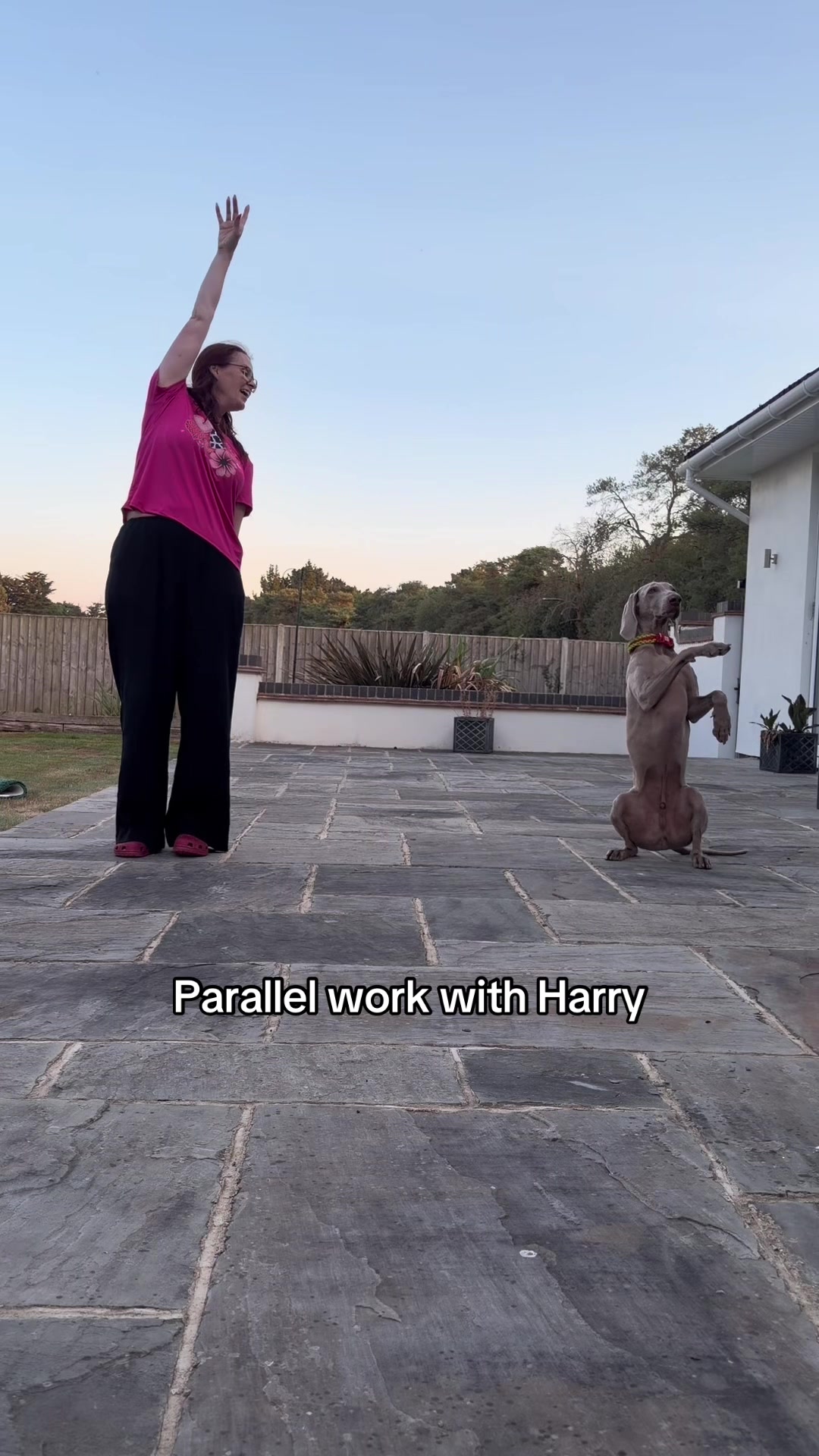 @Dixie, Dougie & Harry