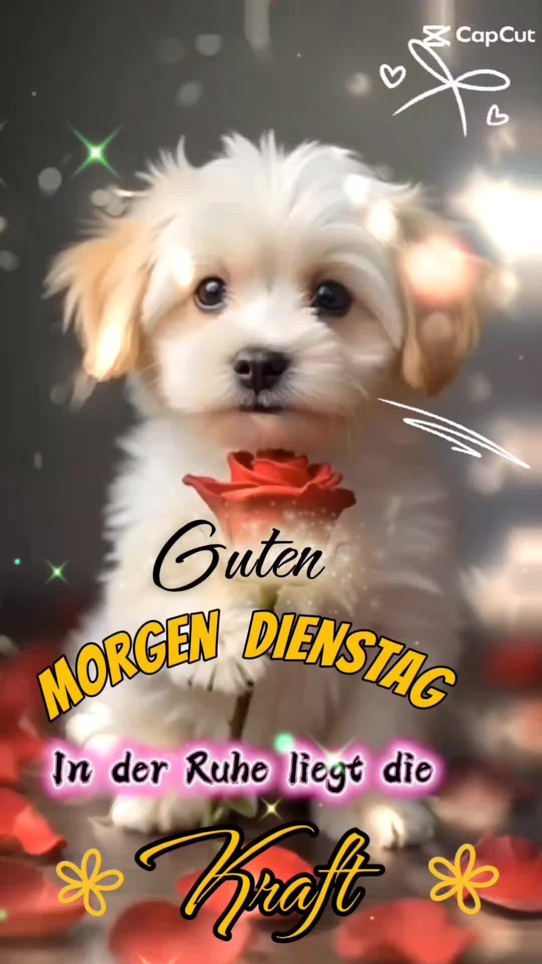 @Jörg 🐸&Angelika 🐌