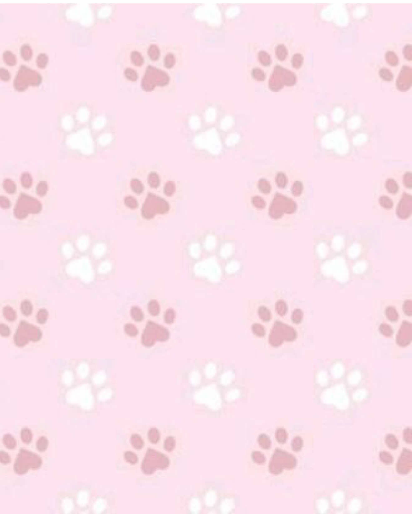 @૮₍ ´ ꒳ `₎ა