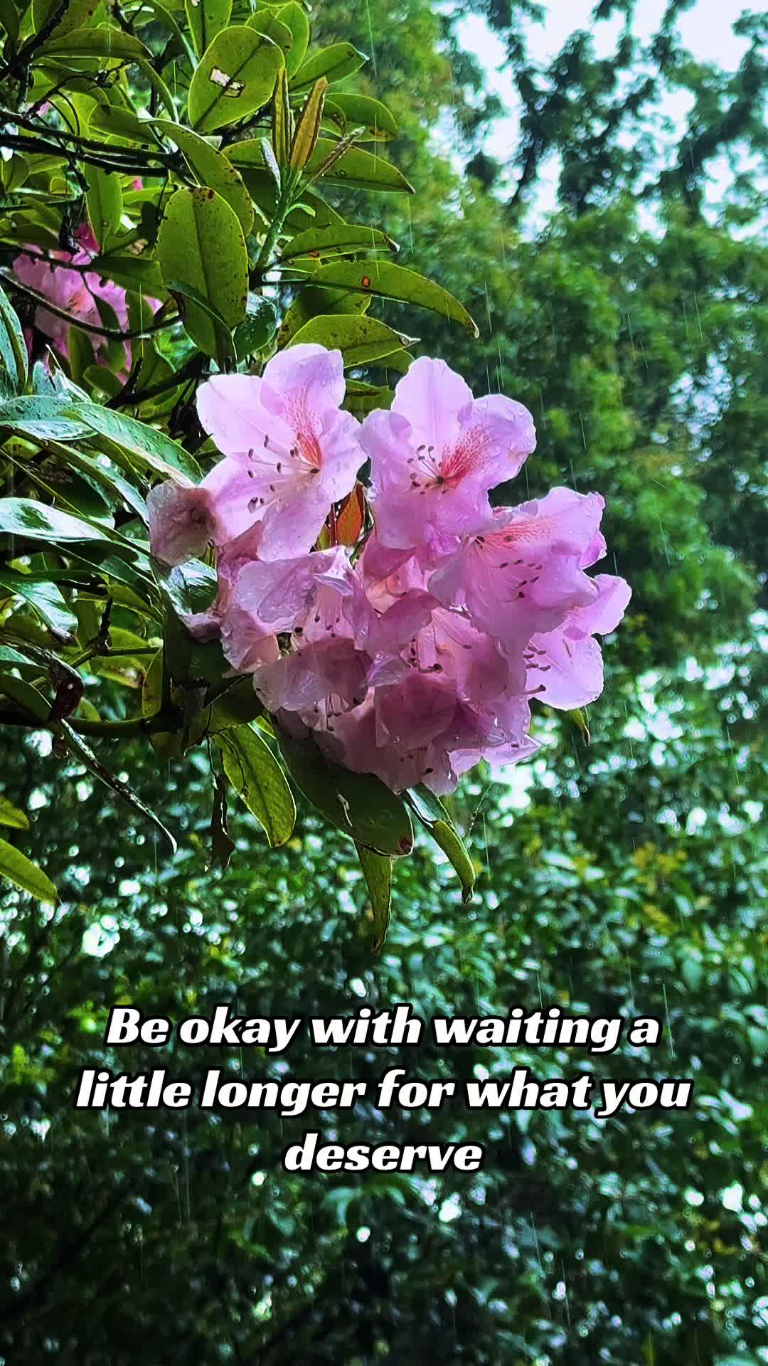 @☾ alex