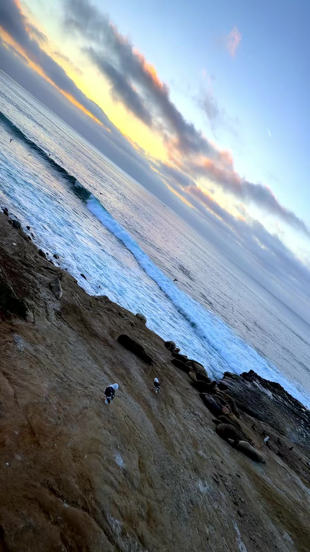 @b_blessed11