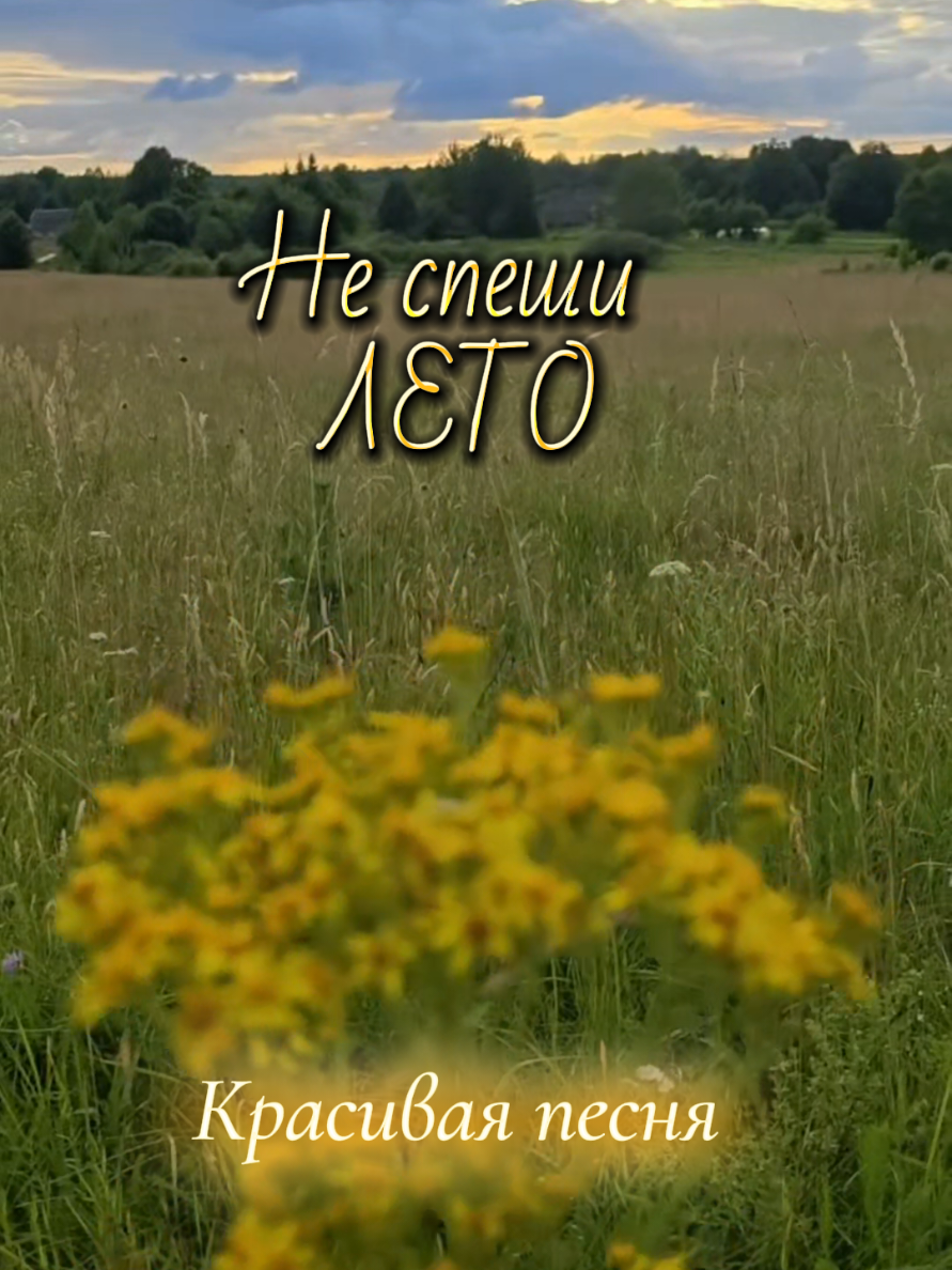 @✨Елена✨