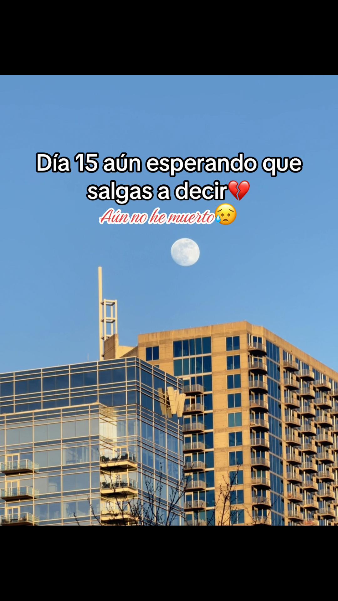@JCG🐼