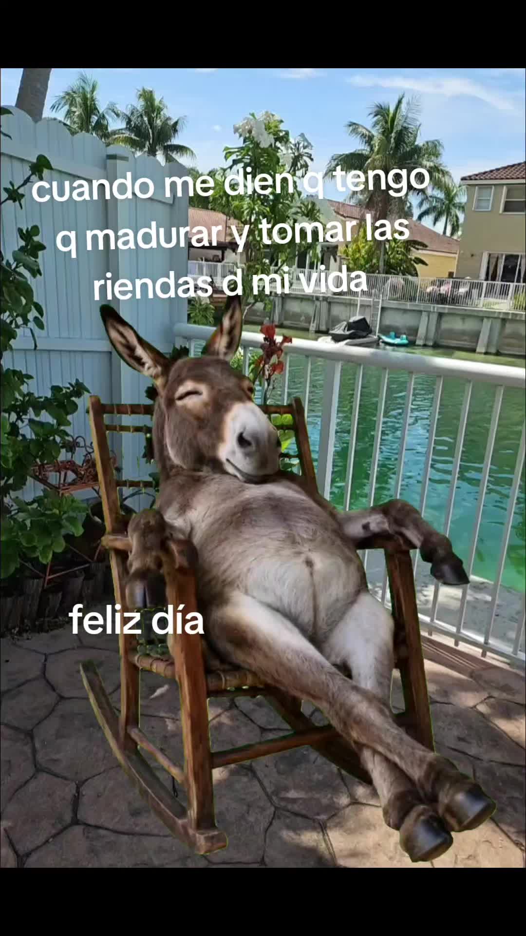 @DIOS CON MIGO