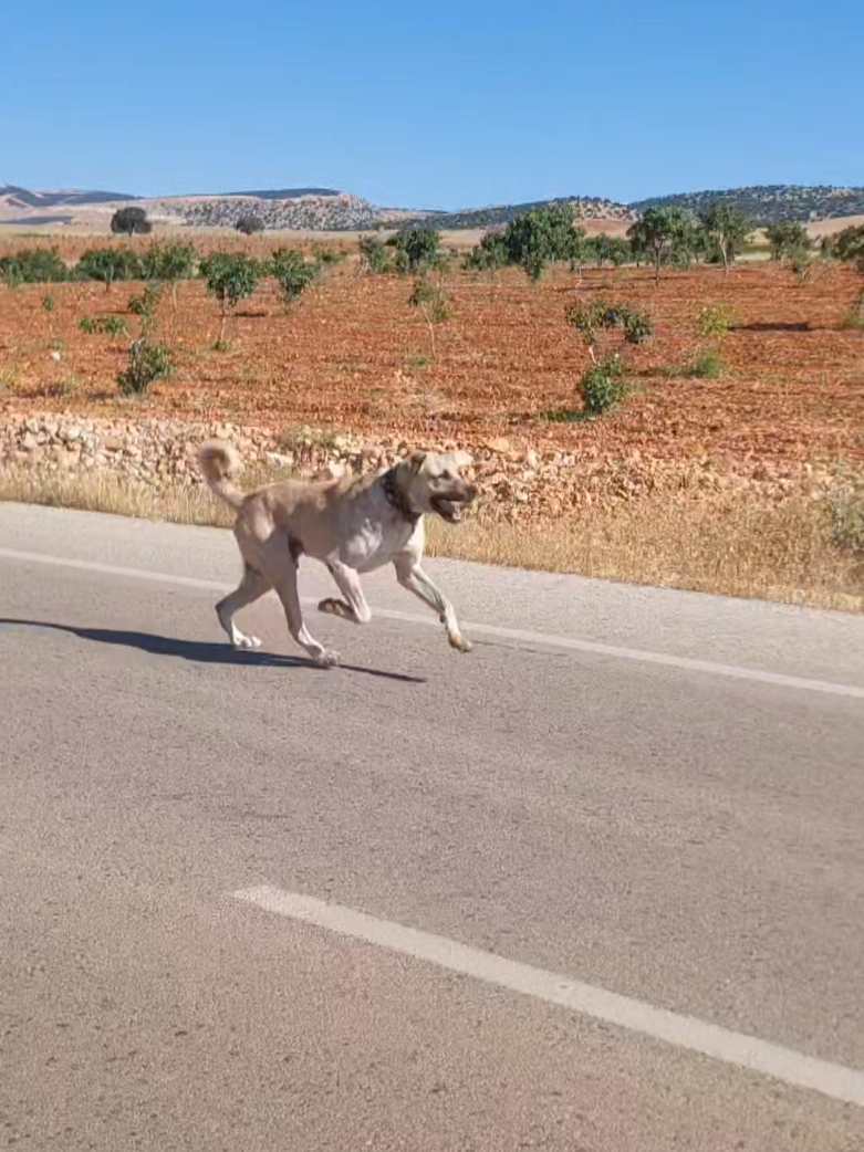@Erkan &ccedil;iftci