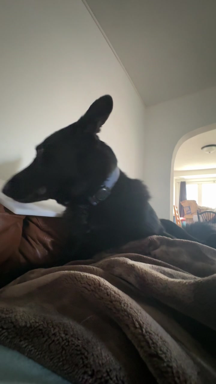 @Vibe with V &bull; ✈️💋🪴🌊☀️✌️