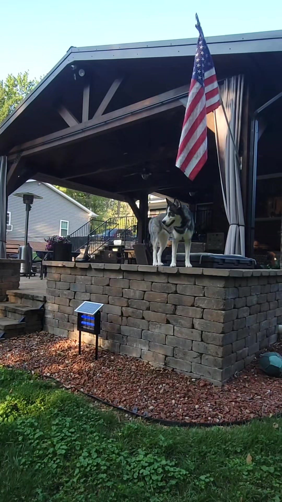@the Hussey Husky