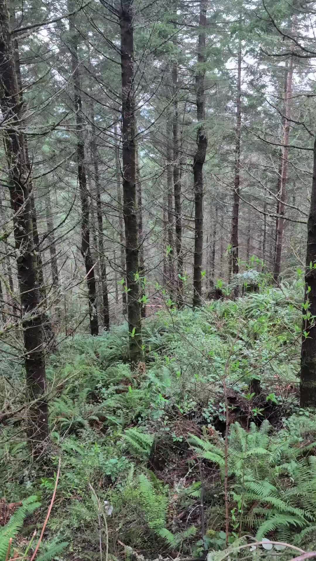 @Hiett logger