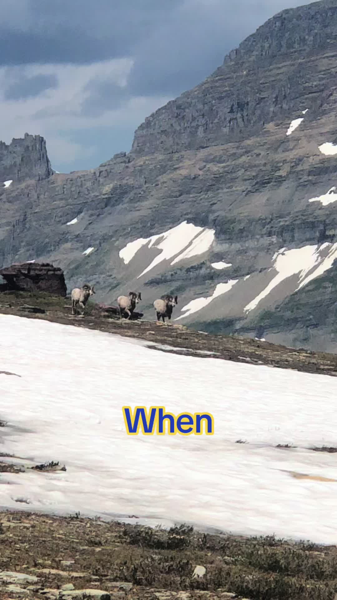 @She She 🏔️