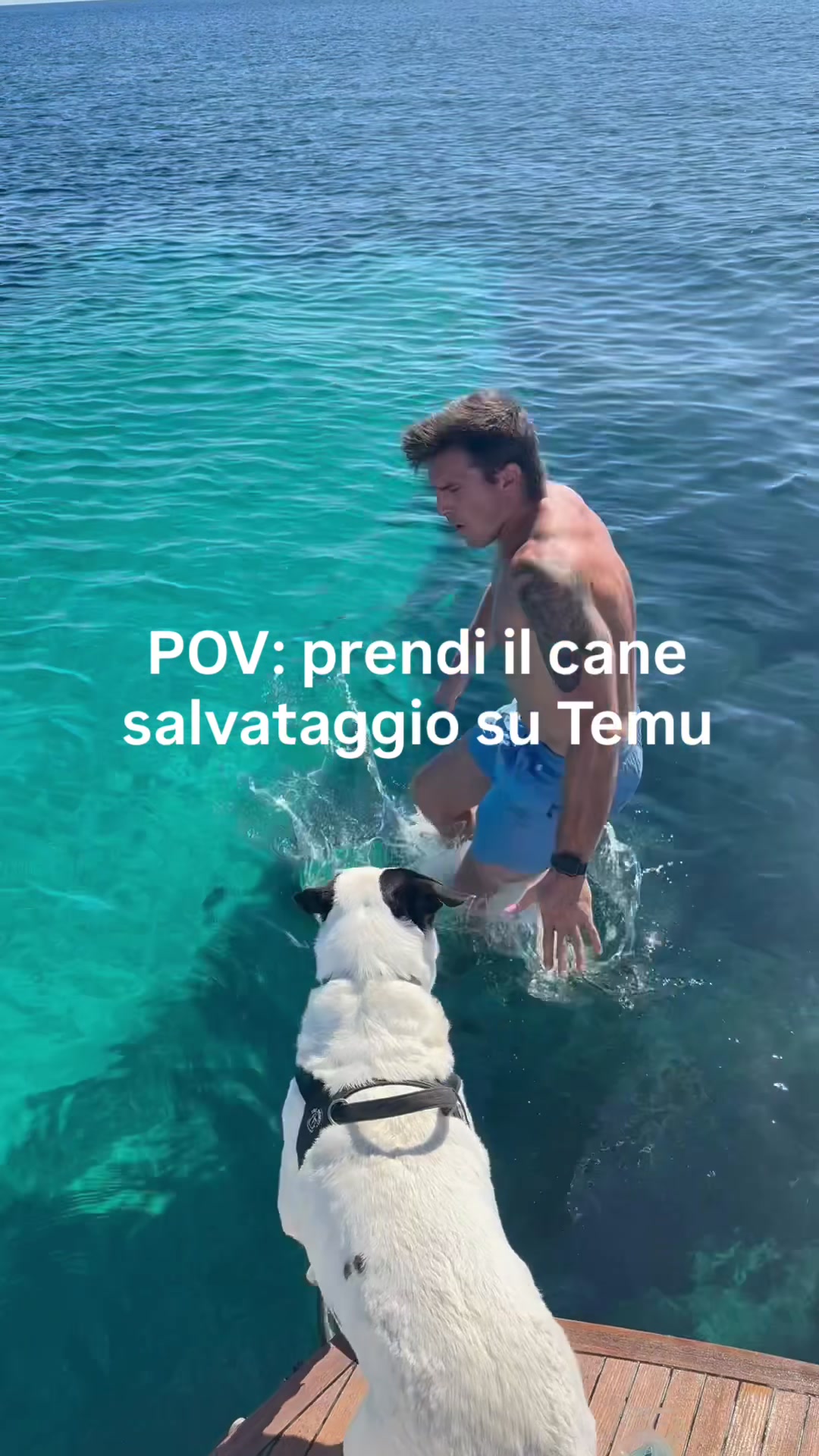 @Giulietta