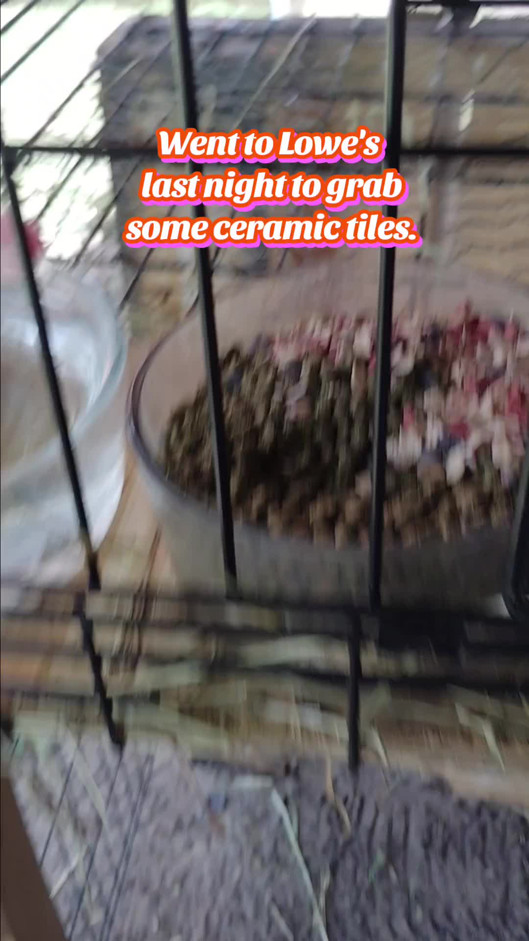 @Meatballs and Cannoli