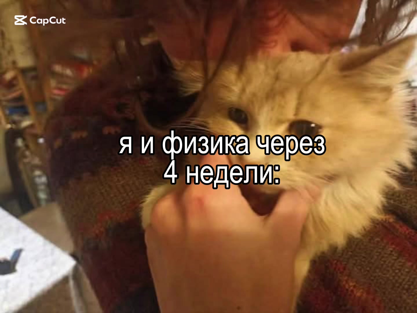 @lily