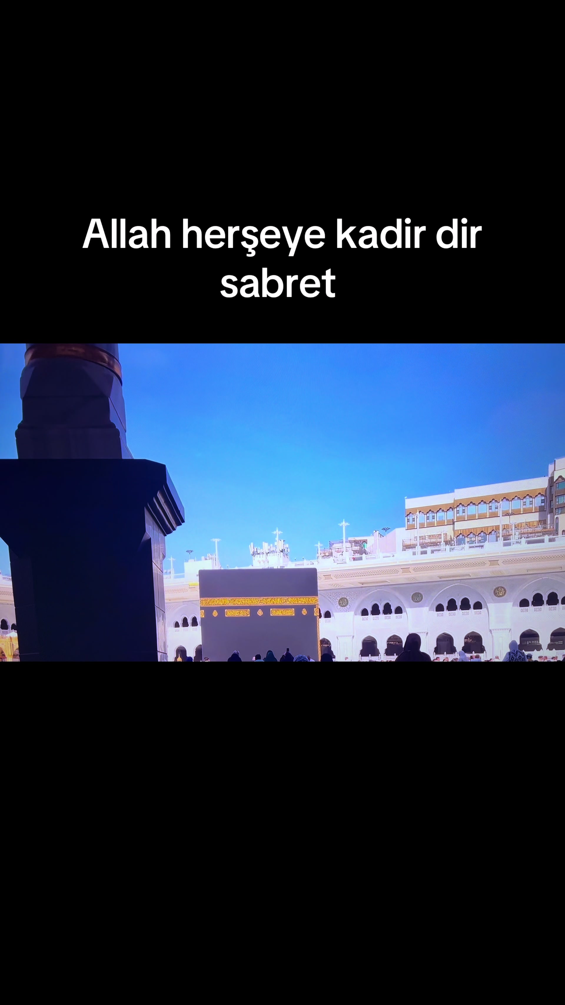 @hayalimm.