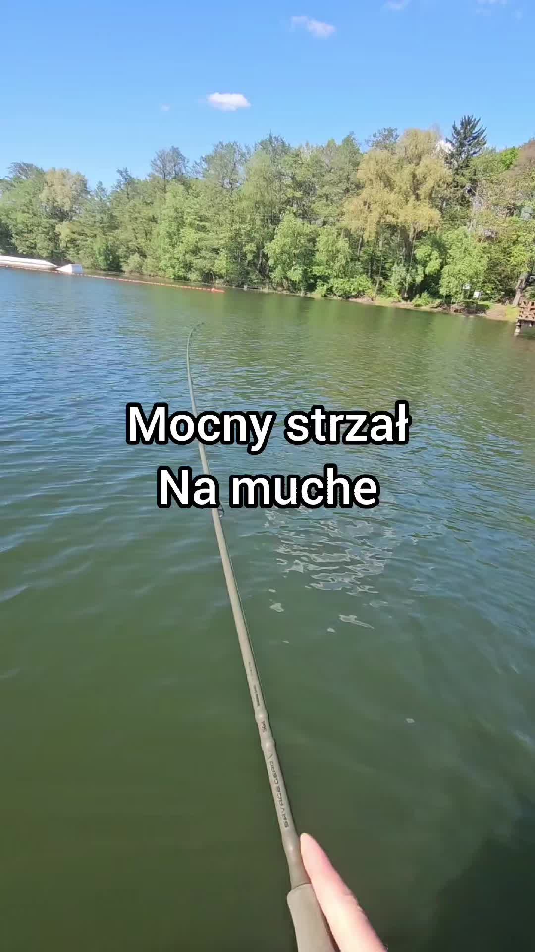 @mfly_lures