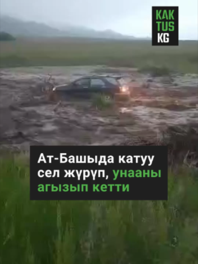 @Kaktus KG