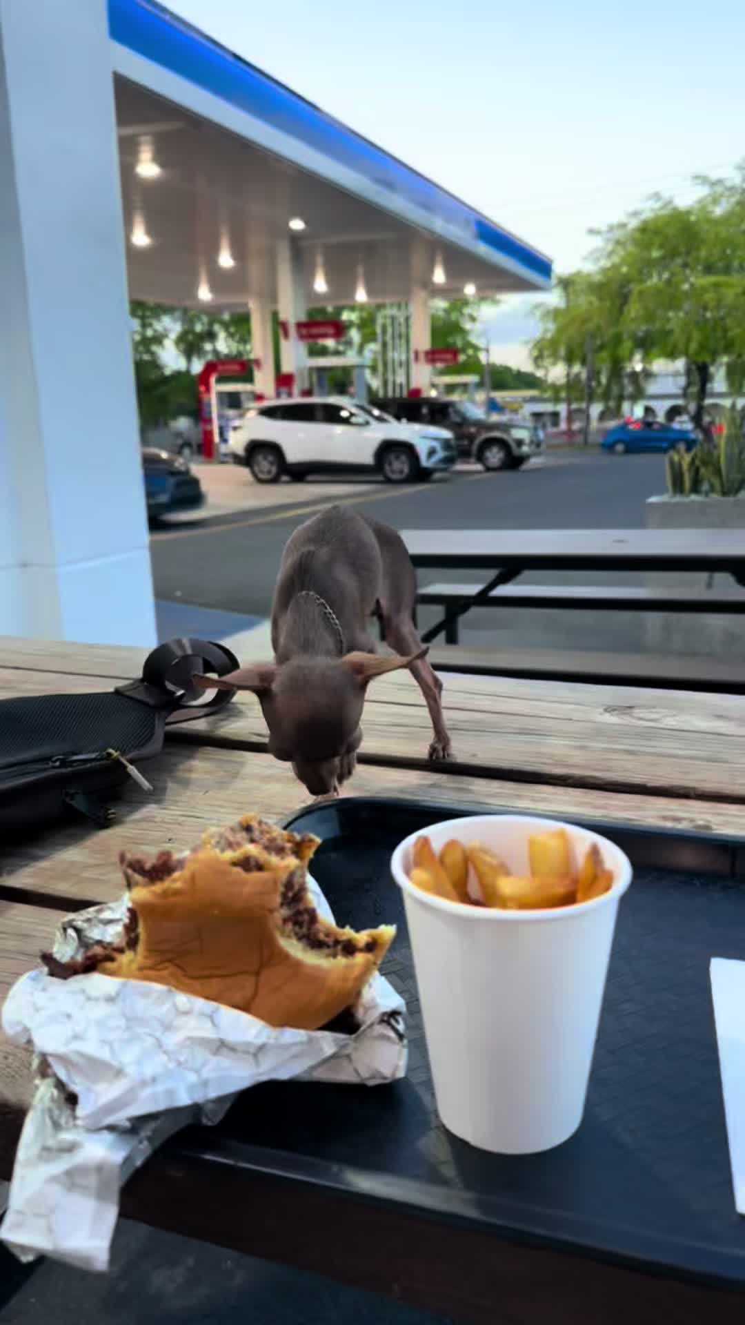 @mini.mew.offical