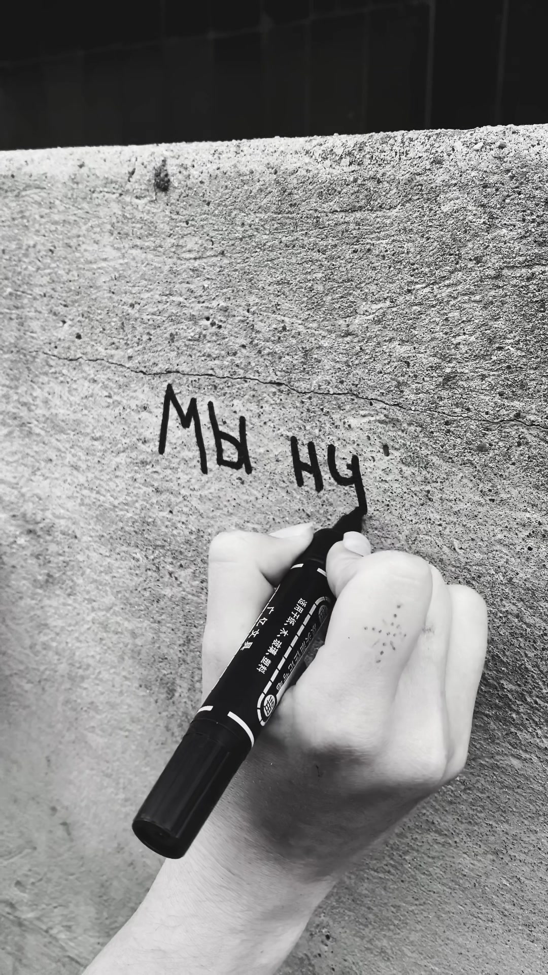 @𝓟𝓸𝓵𝓲𝓷𝓪