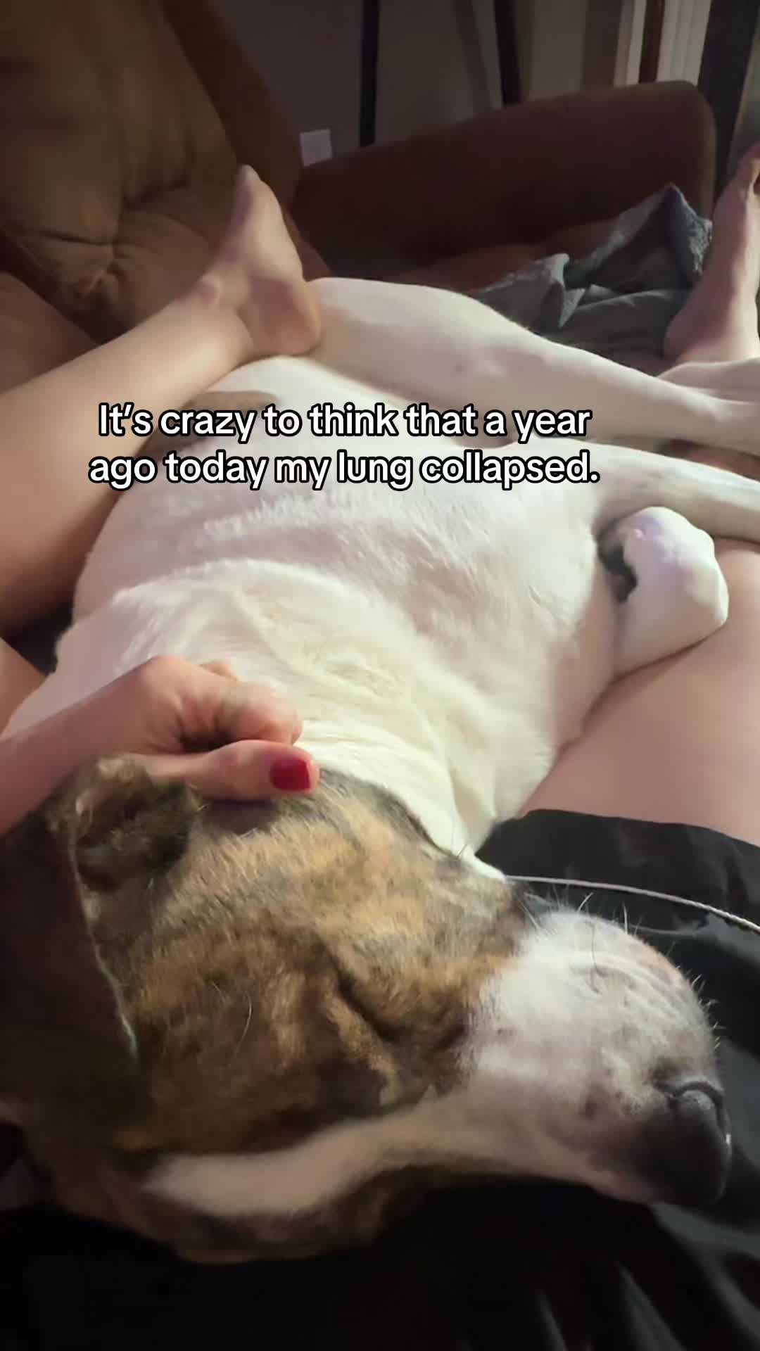 @thosemindfulvibes