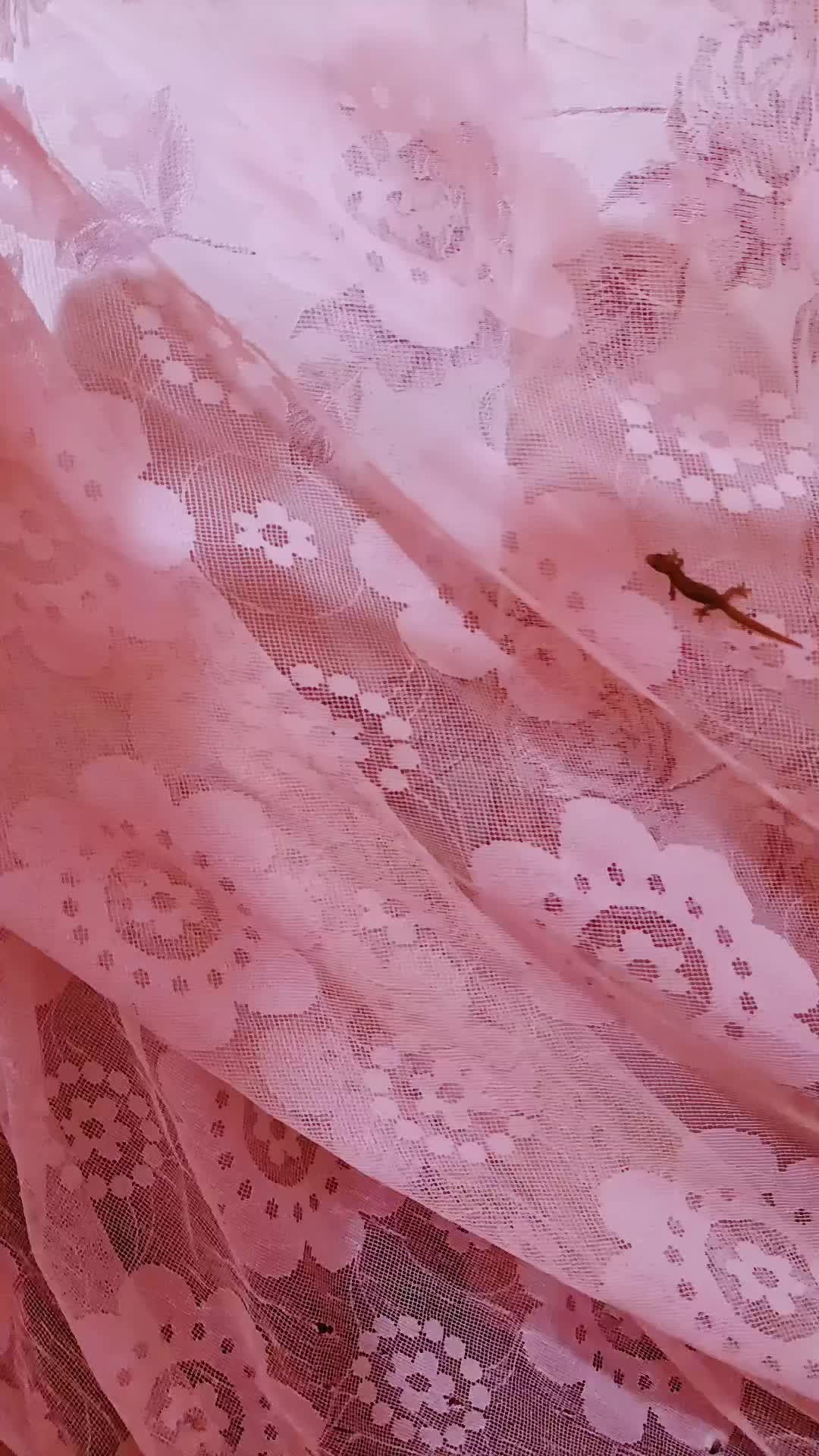 @nangei 25