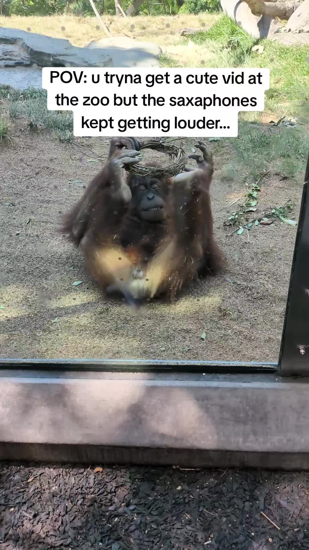 @notDJfr