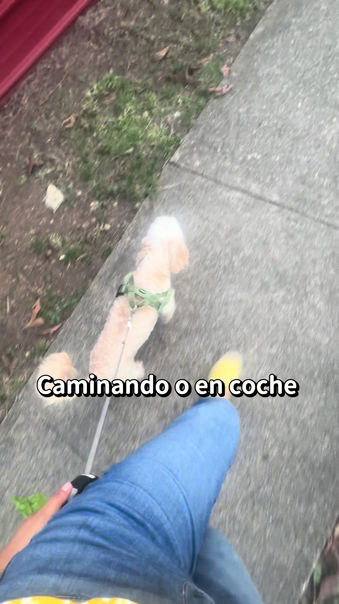 @Beyli