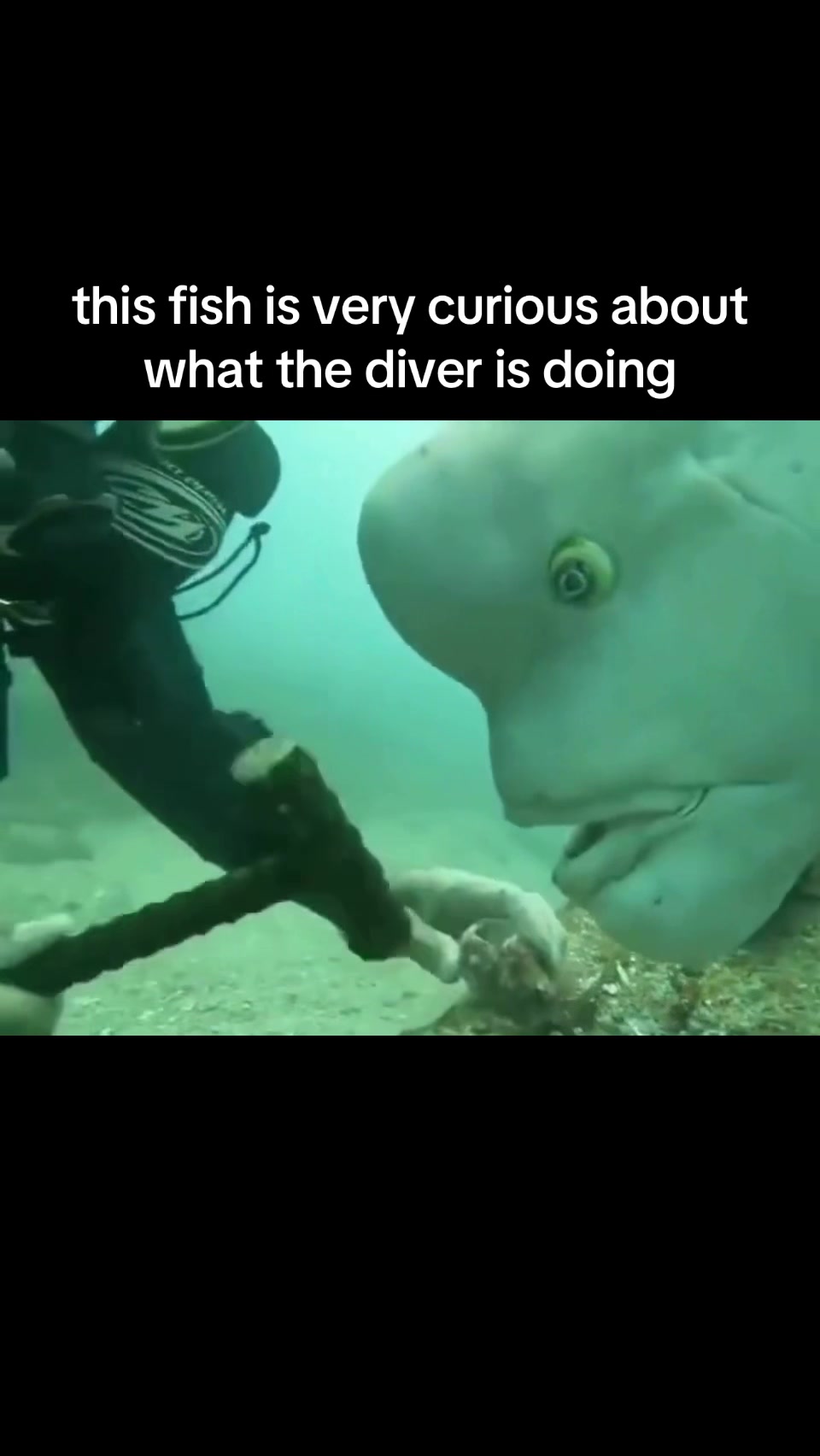 @SpaceXplorer
