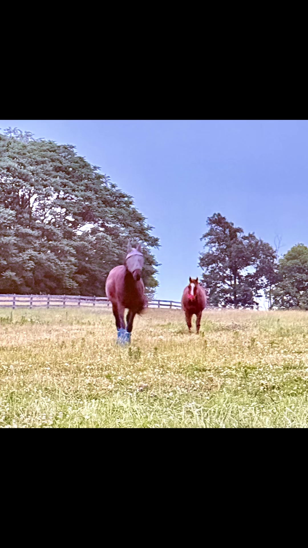 @Danigurl🦮🏇🌅🏳️&zwj;🌈