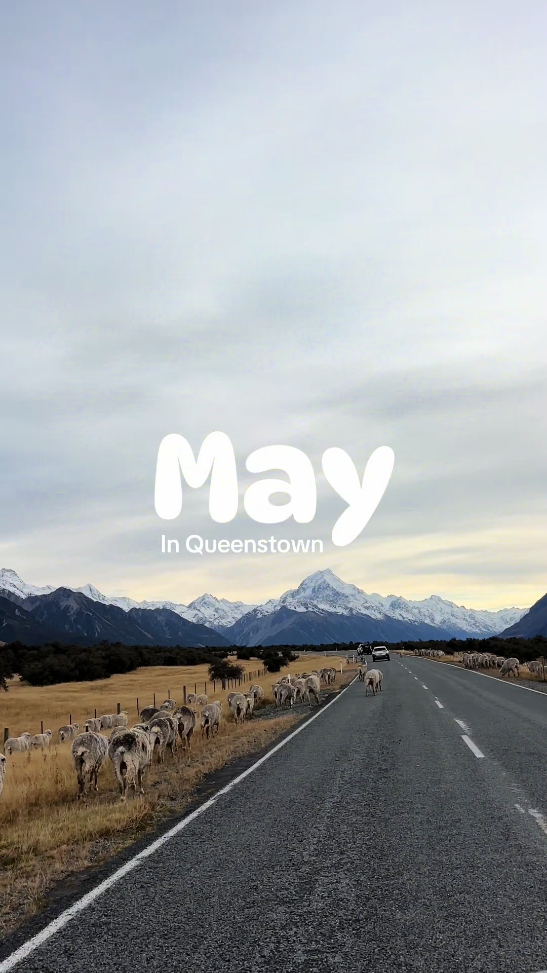 @idwerd&ensp;|&ensp;travel NZ🇳🇿🚐 & AUS
