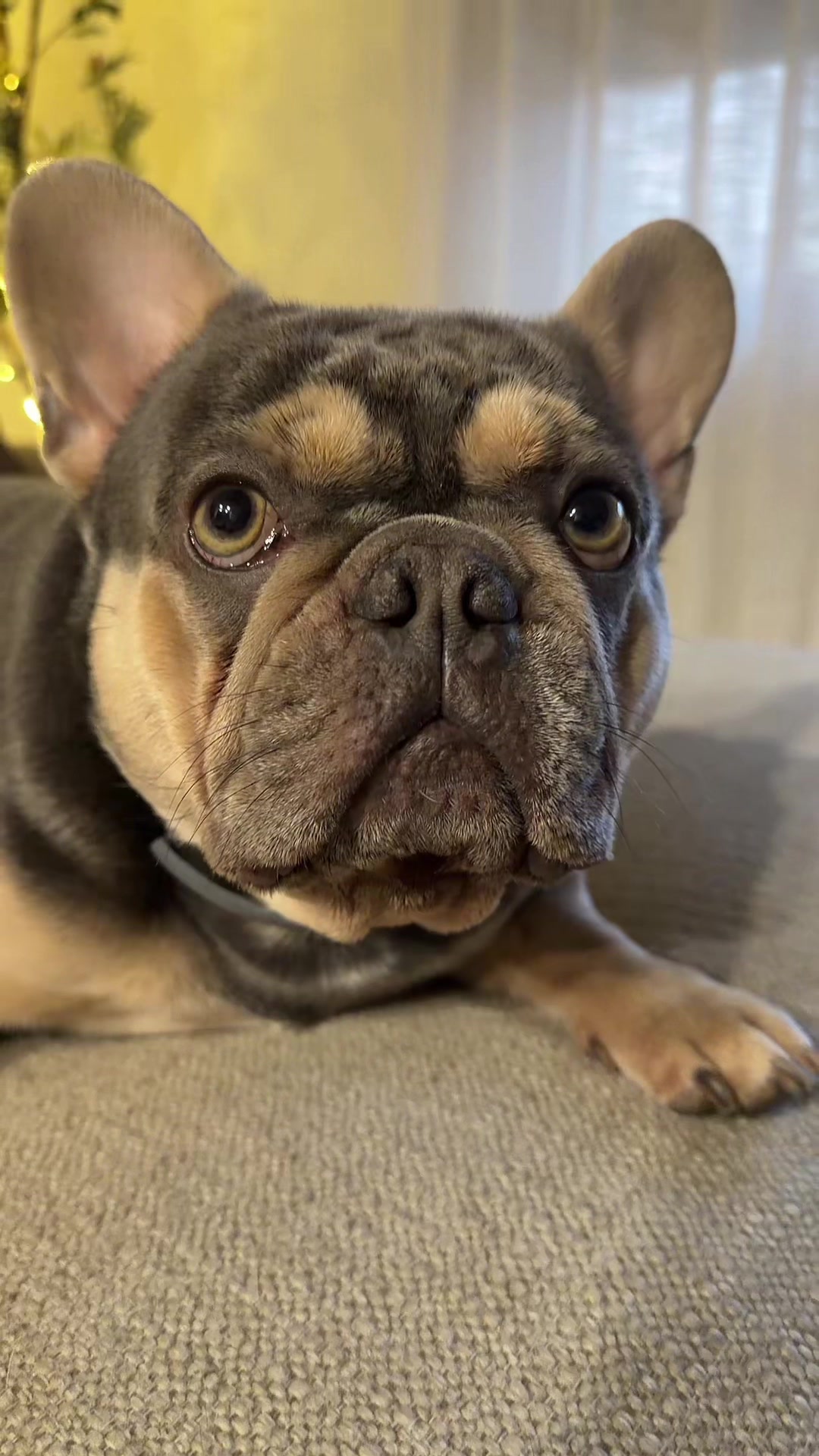 @IamWalter