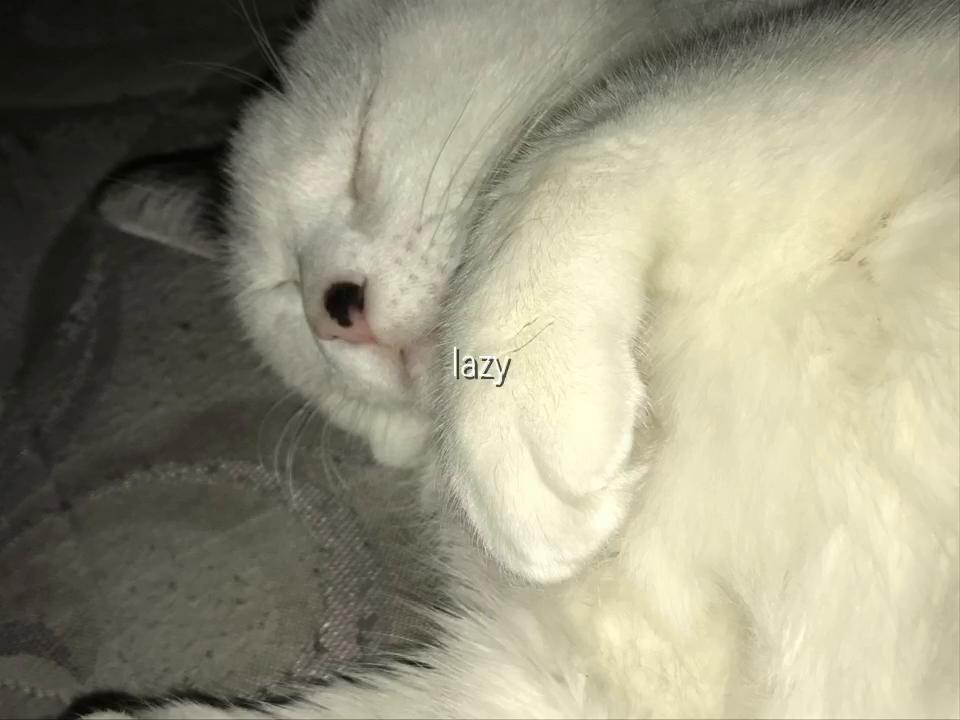 @senyiah