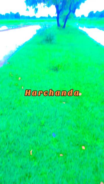 @AloNe....😍
