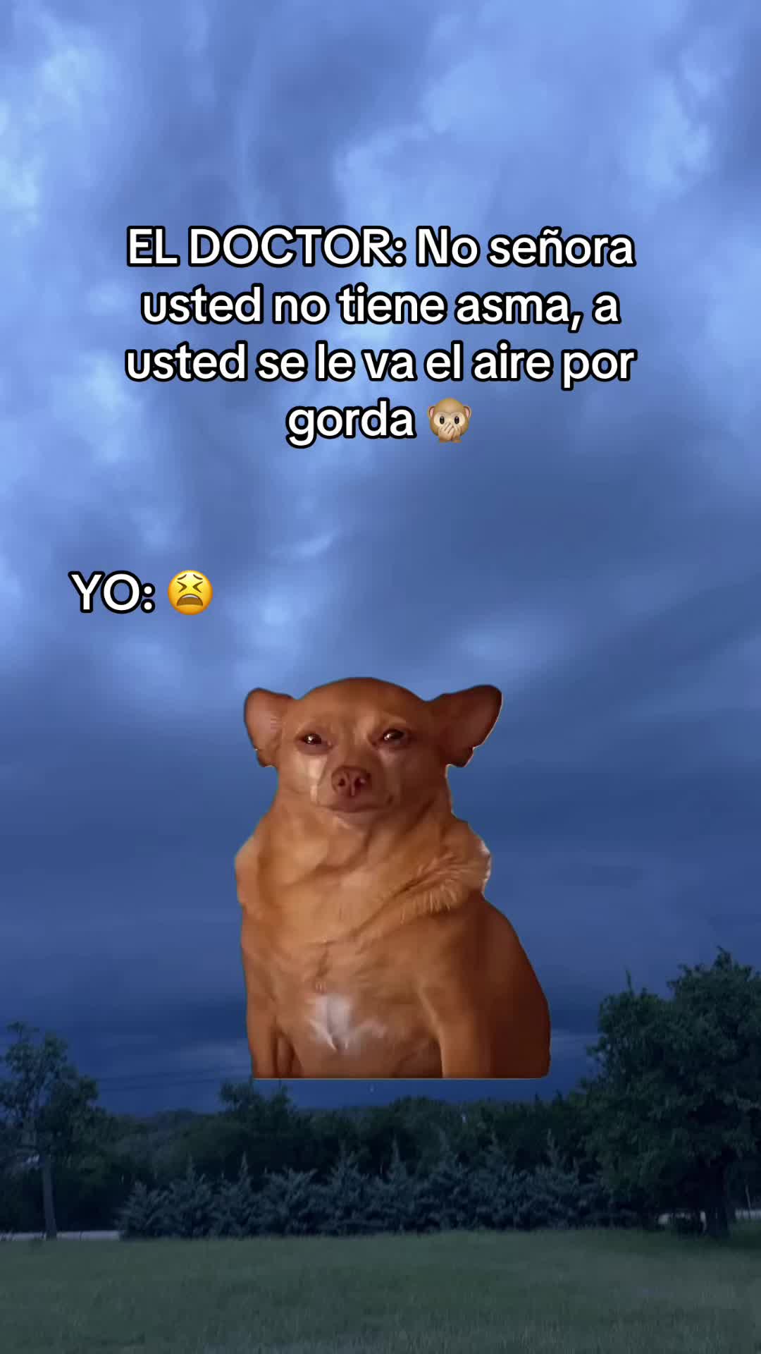 @El Trevol