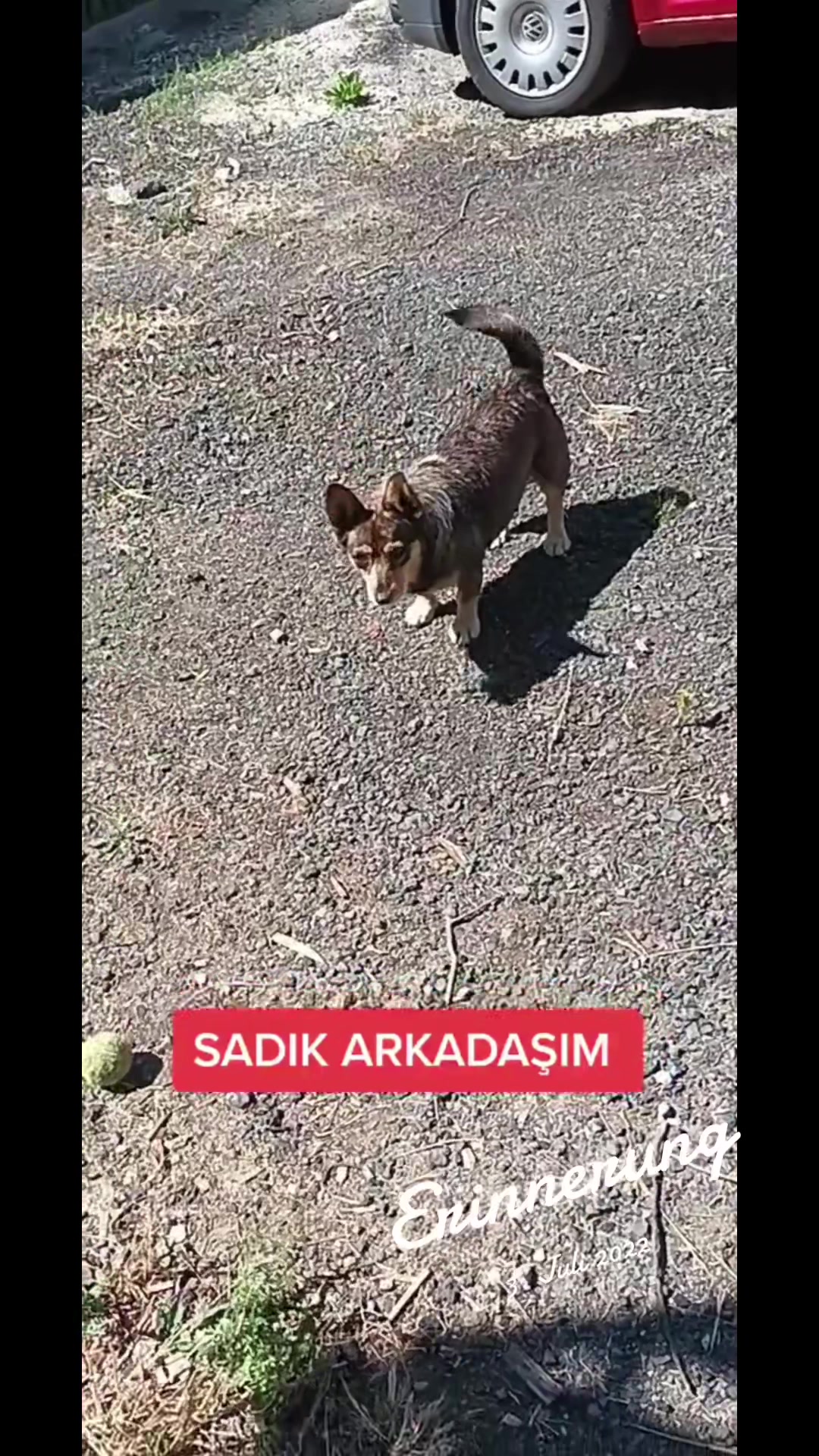 @Özgür Aga 💎