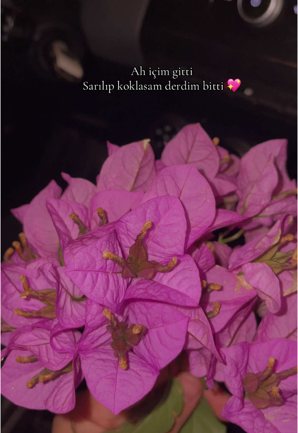 @Esra Ayyıldız 💐
