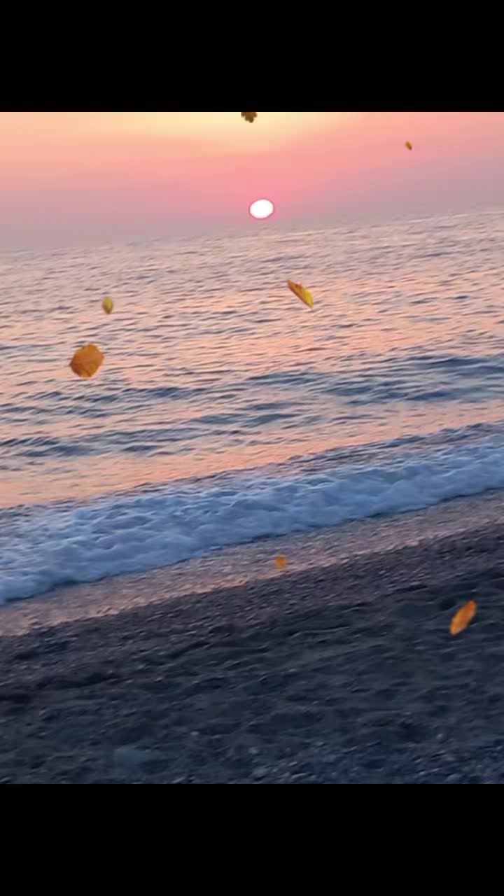 @liviaruff797