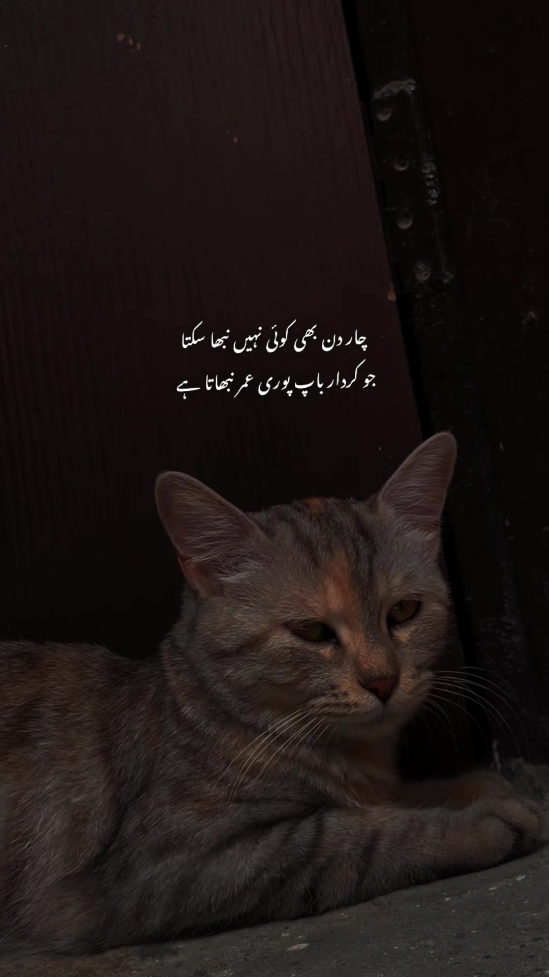 @𝙏𝙖𝙡𝙝𝙖 𝟐🫀❤️&zwj;🩹