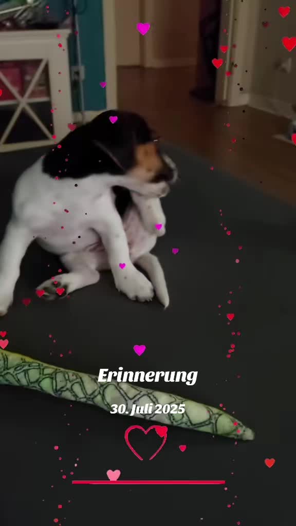 @möhrchen🥕