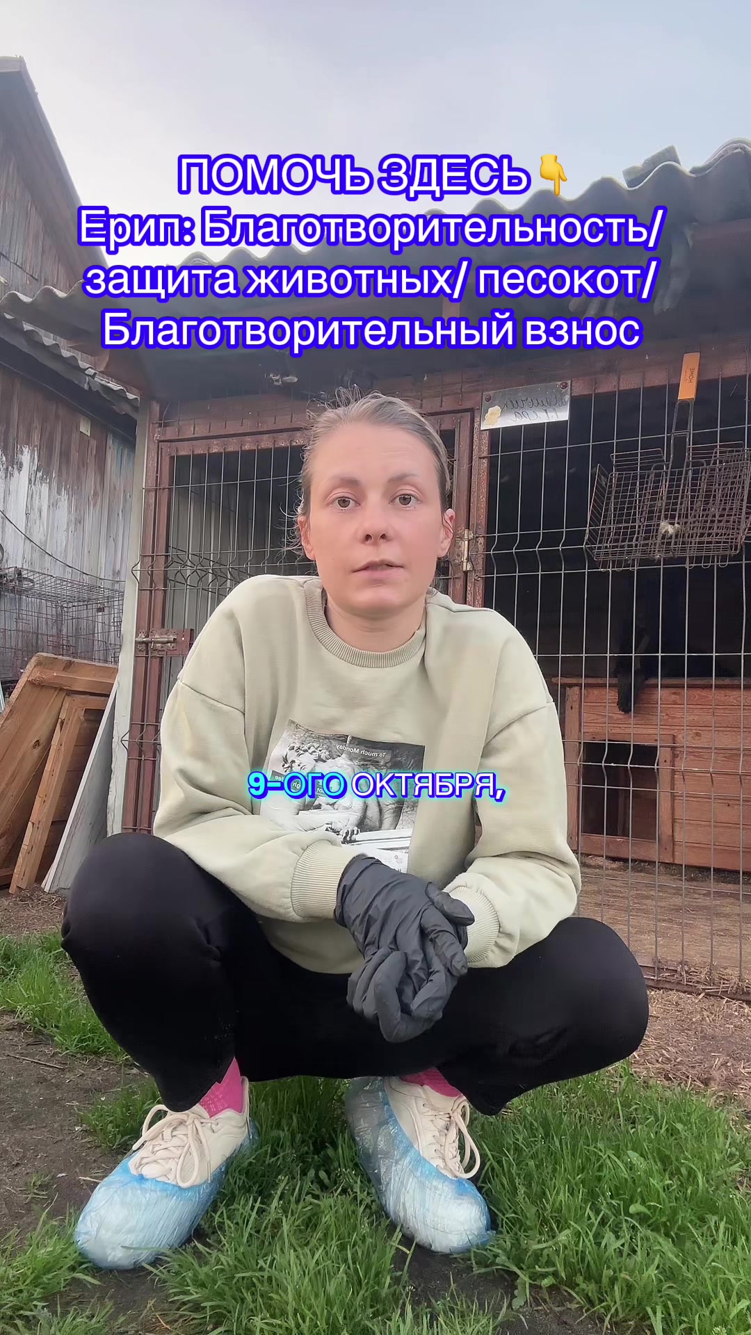 @Директор &laquo;Песокот&raquo;250🐈🐶