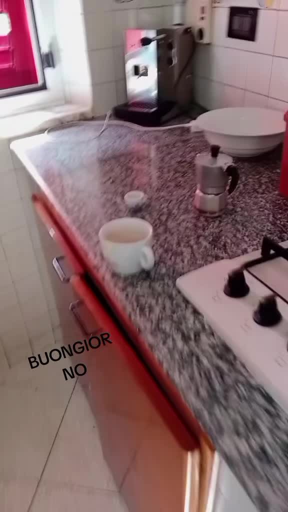 @ninotrovato
