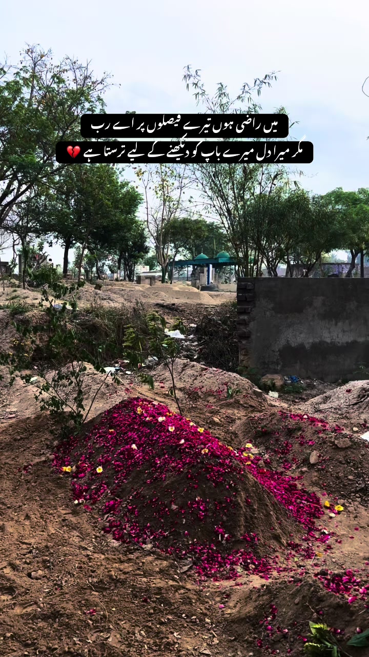 @Ch Fezi Virk