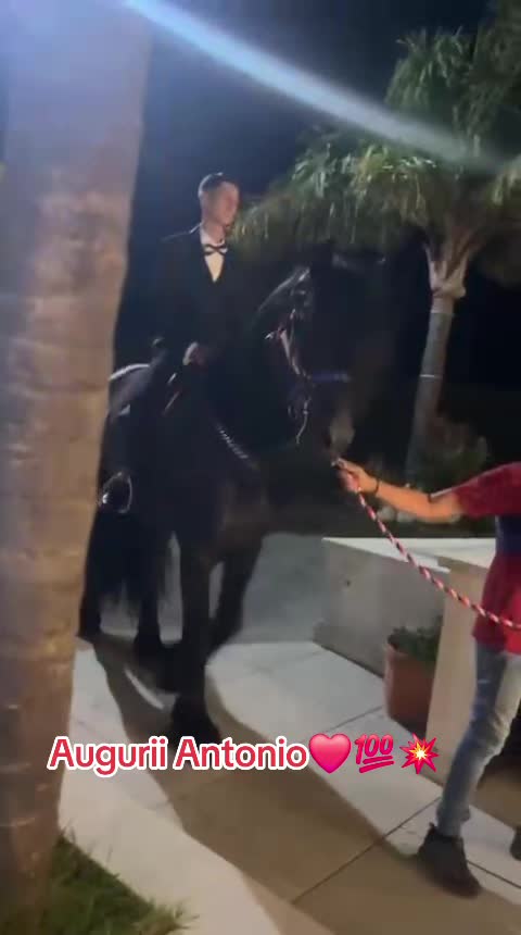 @DIFESA RANCH💥🐴🐴