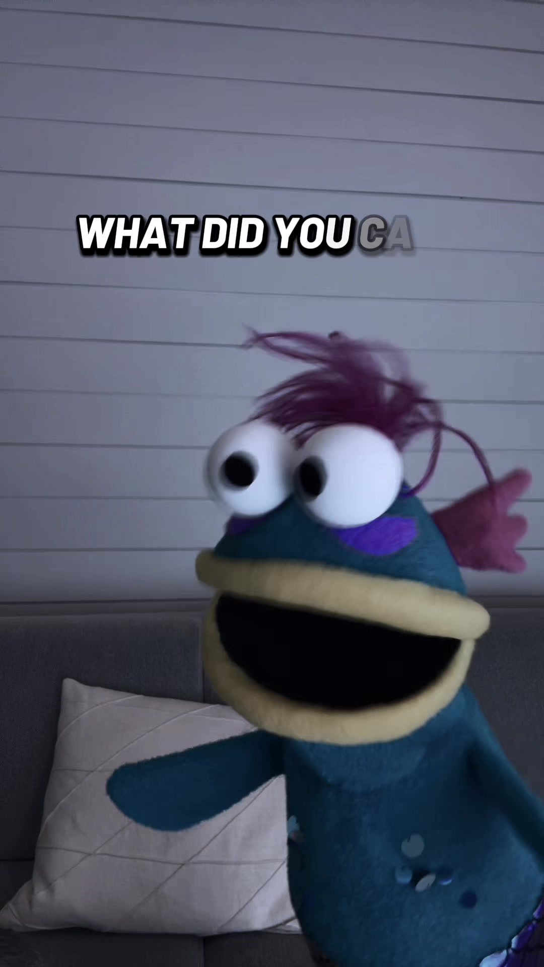 @chappellpuppets