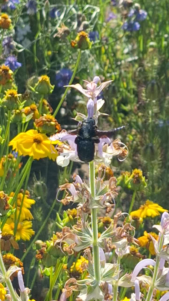@Natur und Garten