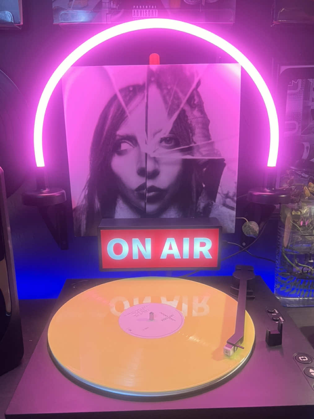 @Rjs vinyls